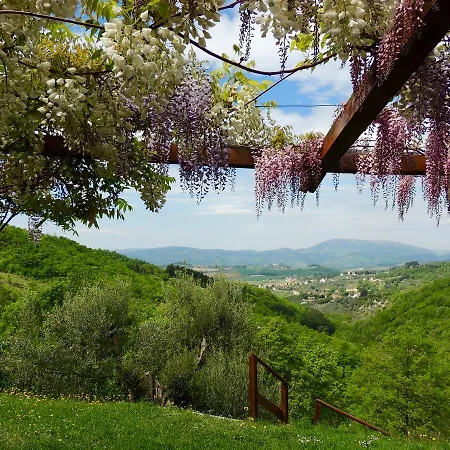 Antico Casal Del Bosco Agriturismo Bed and breakfast