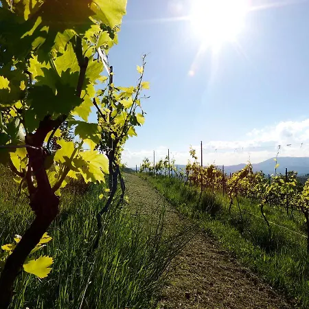 Bed and breakfast Antico Casal Del Bosco Agriturismo *
