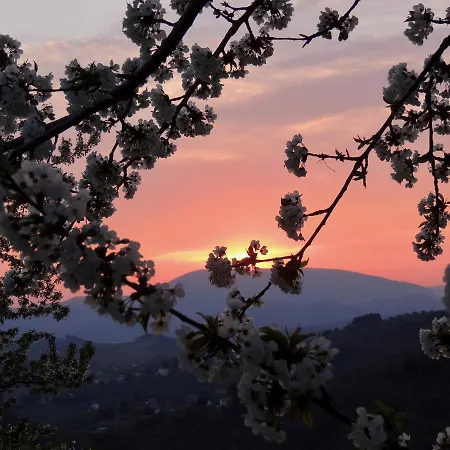 Antico Casal Del Bosco Agriturismo Bed and breakfast *